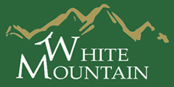 White Mountain Group